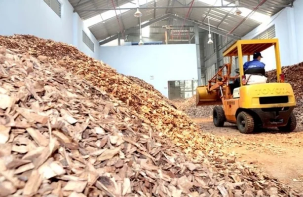 Hà Tĩnh: An Việt Phát muốn làm nhà máy điện sinh khối 8.500 tỷ An Việt Phát muốn làm nhà máy điện sinh khối 8.500 tỷ đồng tại Hà Tĩnh. Ảnh minh họa