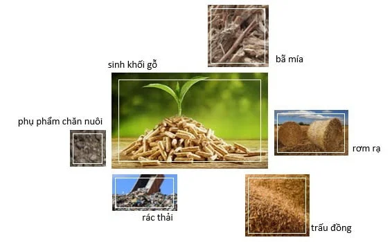 Phụ phẩm trong nông nghiệp sẽ là nguồn nguyên liệu cho nhà máy điện sinh khối