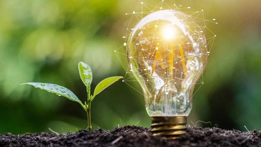 Nhà Máy Điện Khí Hóa Sinh Khối lợi ích điện sinh khối