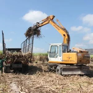 nguyen lieu sinh khoi tu ba mia rac mia