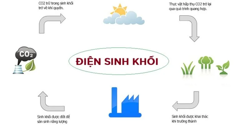 Nhà Máy Điện Khí Hóa Sinh Khối nguyên lý hoạt động của nhà máy điện hóa khí sinh khối