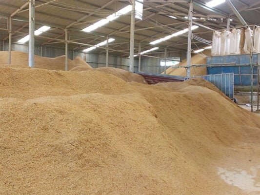 Nhà Máy Phát Điện Sinh Khối Từ Trấu trấu nguyên liệu cho nhà máy phát điện sinh khối 1